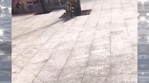 funny video