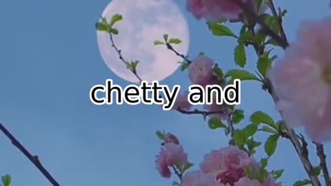 Cheti Chand Celebration