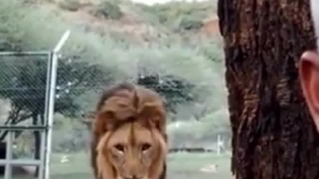The funniest animals in the world.