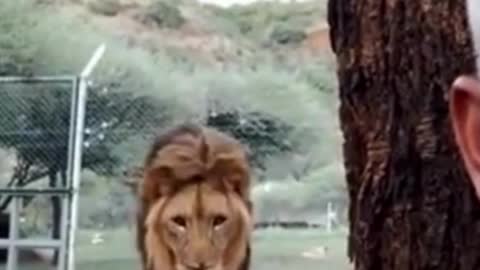 The funniest animals in the world.