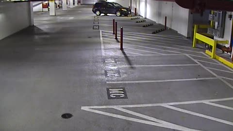 6120RHOBG2G204ALobby4Entrance_2021-01-05_04h20min02s353ms.mp4