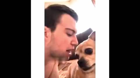 Funny Animal Videos 2023😂BEST CLIPS EVER Try Not To Laugh.😺😍