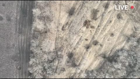 Russian troops run away from Ukrainian drone strikes.