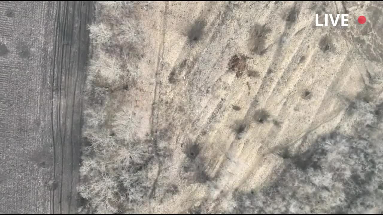 Russian troops run away from Ukrainian drone strikes.
