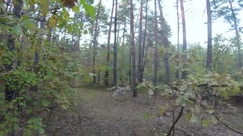 Bear Attack, Man is trying to run away from attacking Bear: GoPro