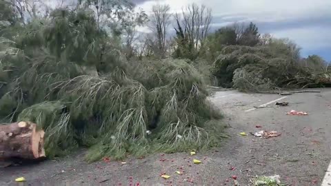 Spanish farmers are now dumping trees on the motorway BLOCKING the border with France.