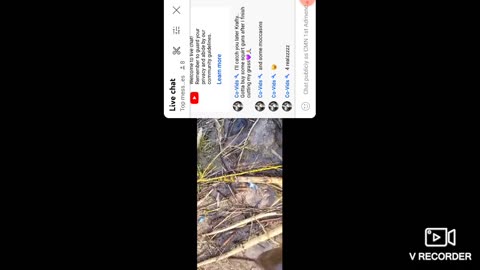 Loser Effext doo doo keeps losing 👎😂