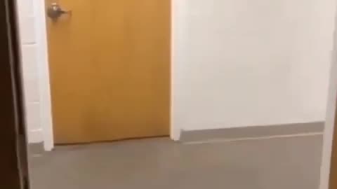 This is still my favorite video