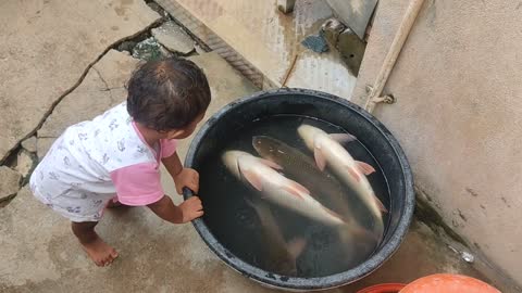my baby playing with fish