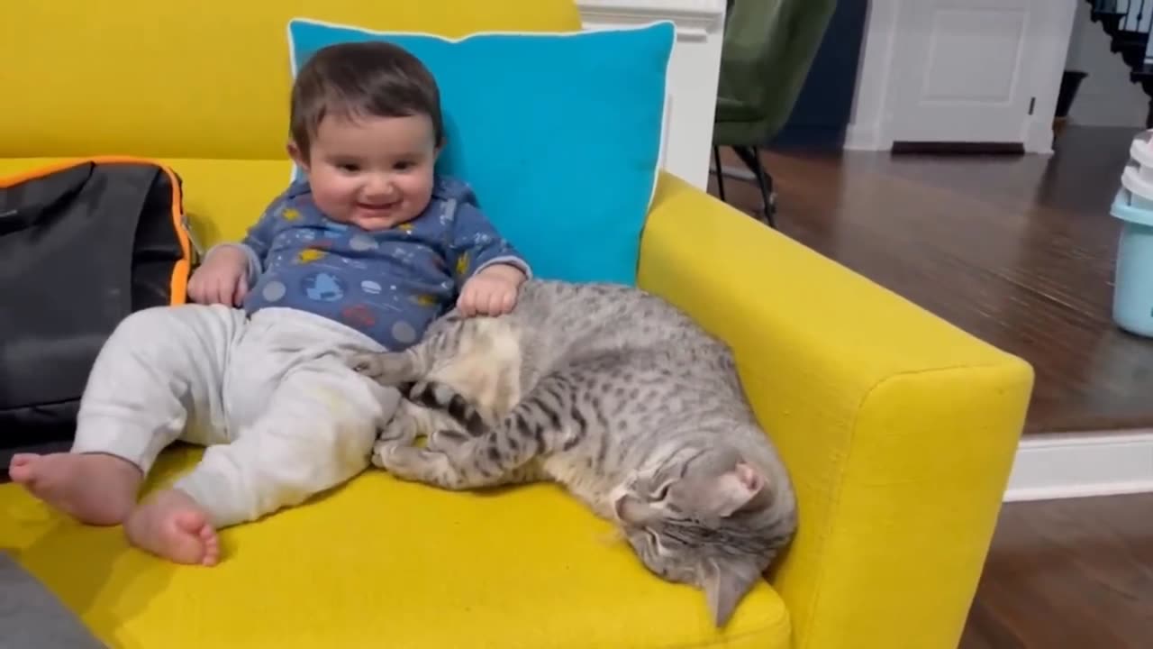 Cute babies playing with cats and dogs