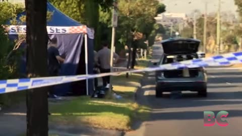 Man falls to his death from a hot-air balloon in Australia