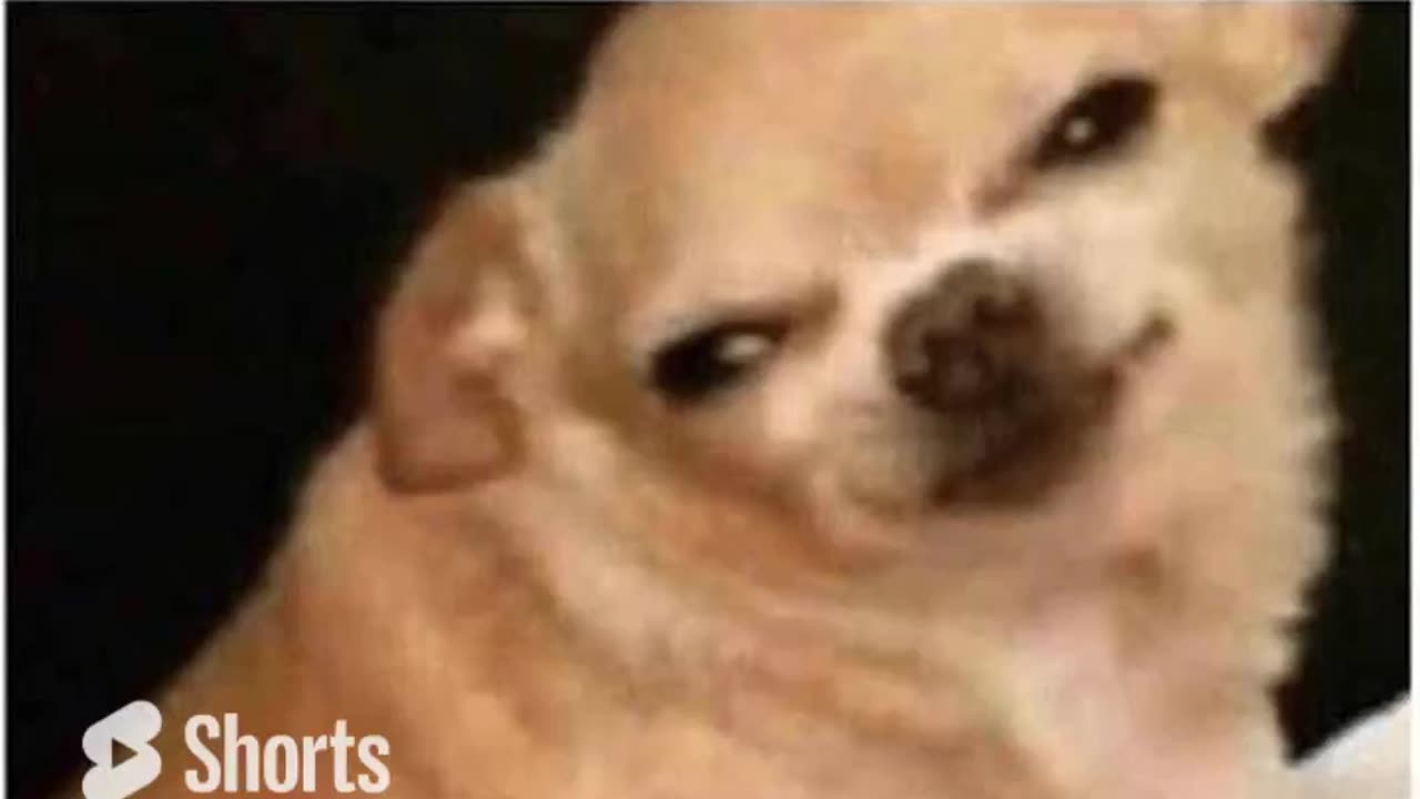 Mashing up memes like its my job