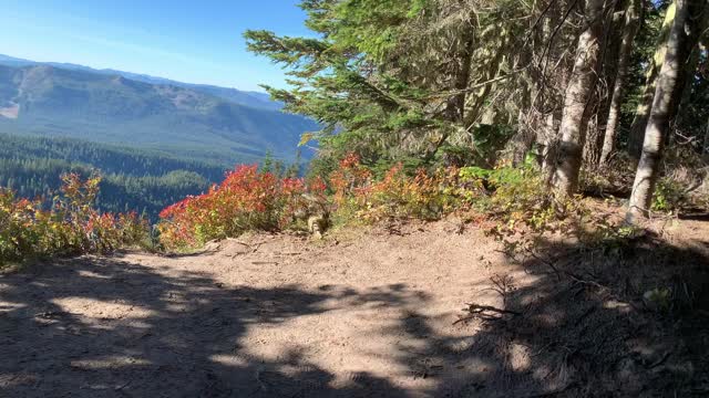 Oregon – Mount Hood – Beautiful Viewpoint Area