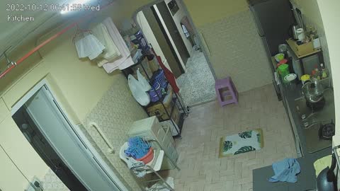 kitchen midnight 20221012