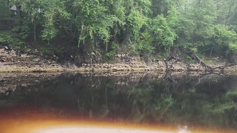 Suwannee River Morning