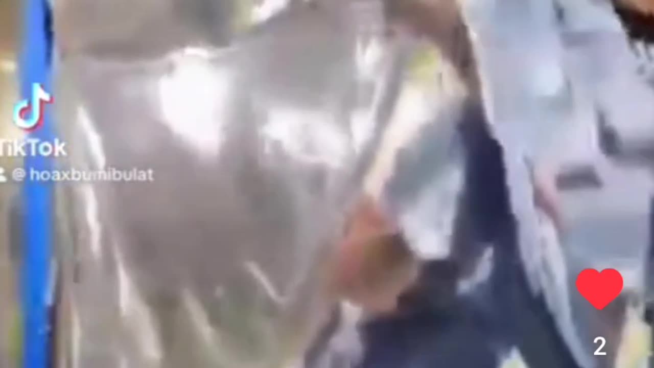 That Is Really Shiny