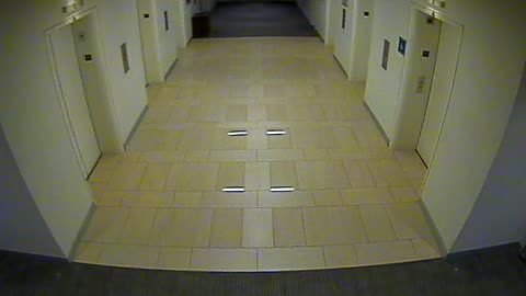 8438OHOB06MainElevatorLobby_2021-01-05_00h20min00s100ms.mp4