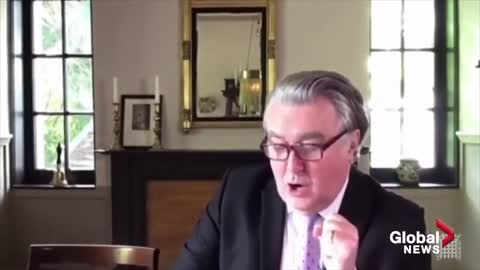 ''Rocco, put your tail down Cat interrupts virtual UK parliamentary meeting