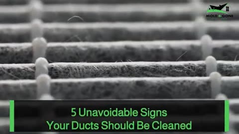 The 5 Must-Know Signs Your Air Ducts Desperately Need Cleaning