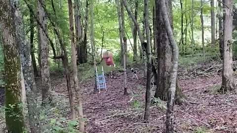 Watch Her PLAY and Hit the GROUND! 🤣 | Best Funny Fails | AFV 2022