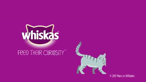 How Is Whiskas Made_ - Whiskas K.I.T._4