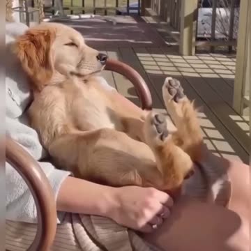 Chillin like a villain 😊😊