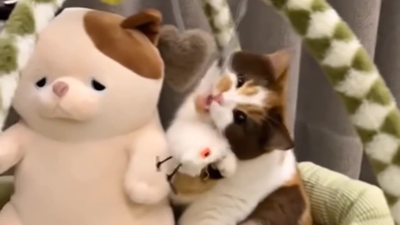 just wanna be with you