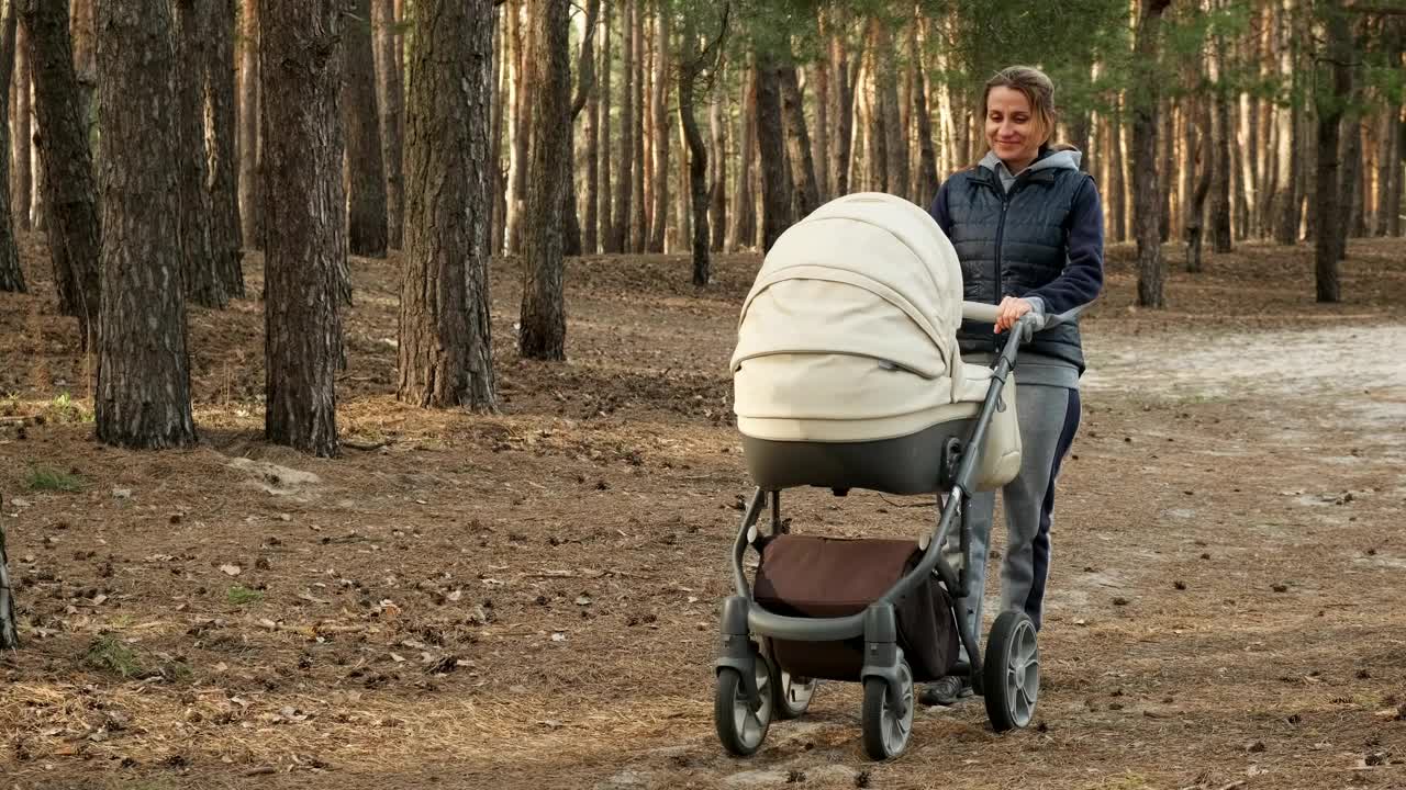 Mother lulling her baby in stroller in a park