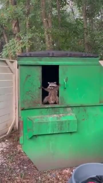This is my dumpster