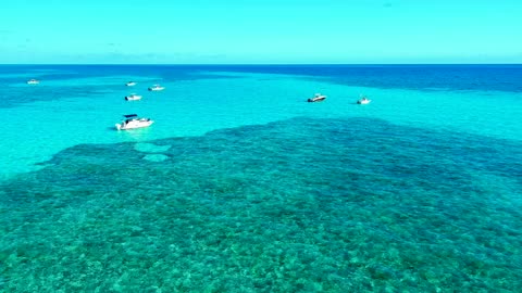 Key Largo's Best Sandbar Mosquito Bank!