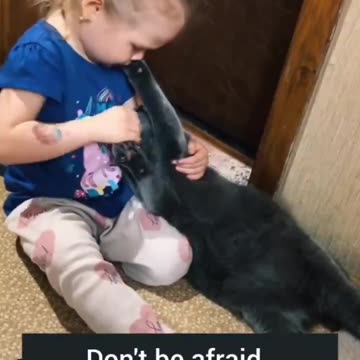 Little Nadiia protects her cat named Kasper during air raid alerts.