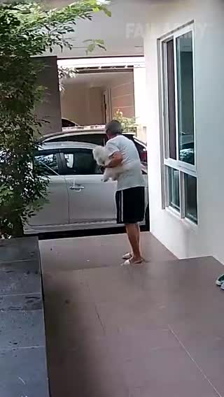 I don't like spiders and snakes...