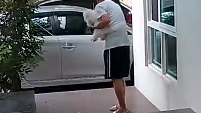 I don't like spiders and snakes...