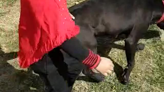 sweet girl enjoying with Dog(Roxy)