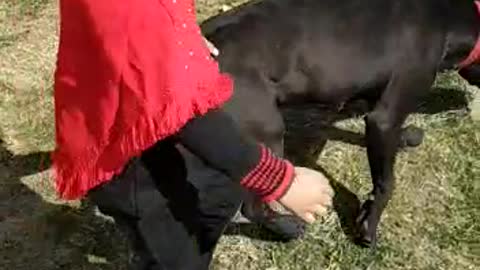 sweet girl enjoying with Dog(Roxy)