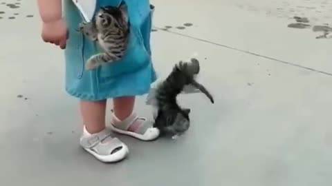 Cute baby and kitten