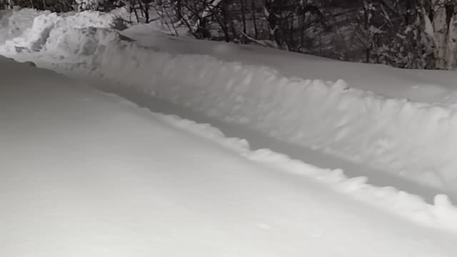 Wasilla Winter Chronicle 2022 Part 1.