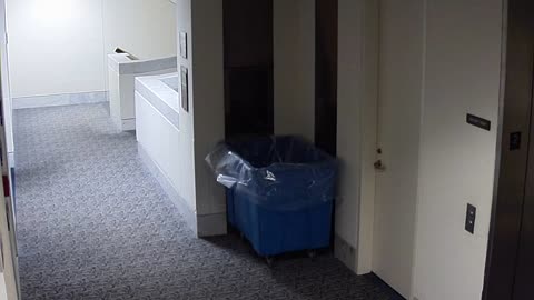 1466HSOB02SH211Entrance_2021-01-05_02h20min02s163ms.mp4