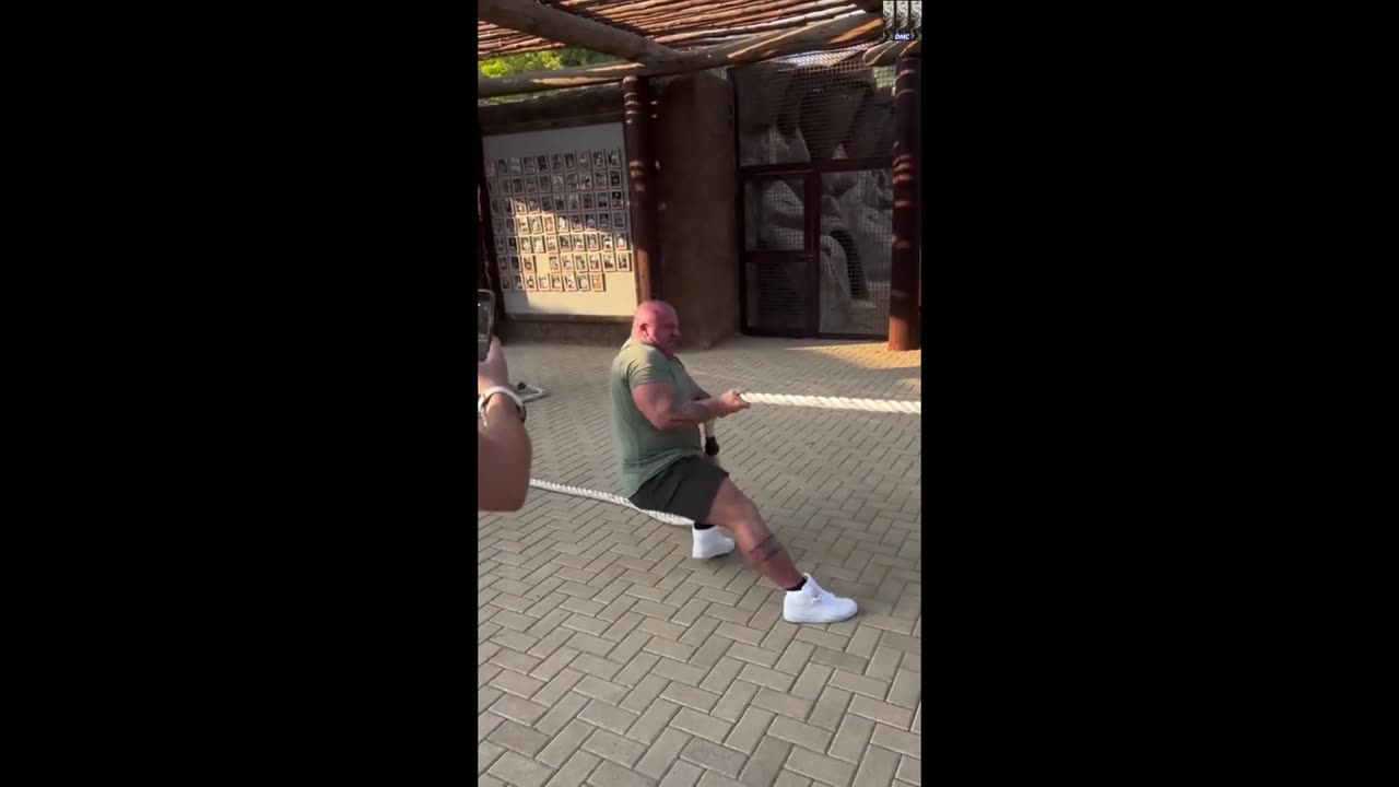 That Lion isn’t even trying