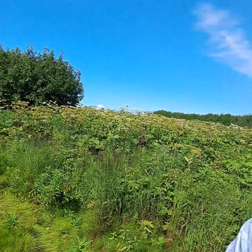 Redoubt Mountain on a sunny Sunday driving to Soldotna. 7/23/23