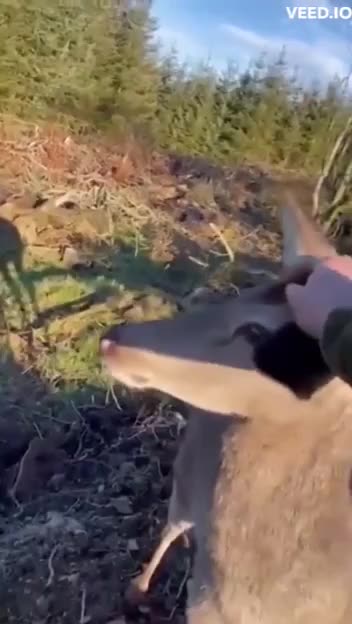 Hey what you guys pointing your rifles at? 😂