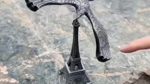 Center of Mass