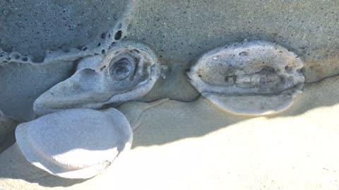 Rock Hat, Ear and Rolling Stones Mouth