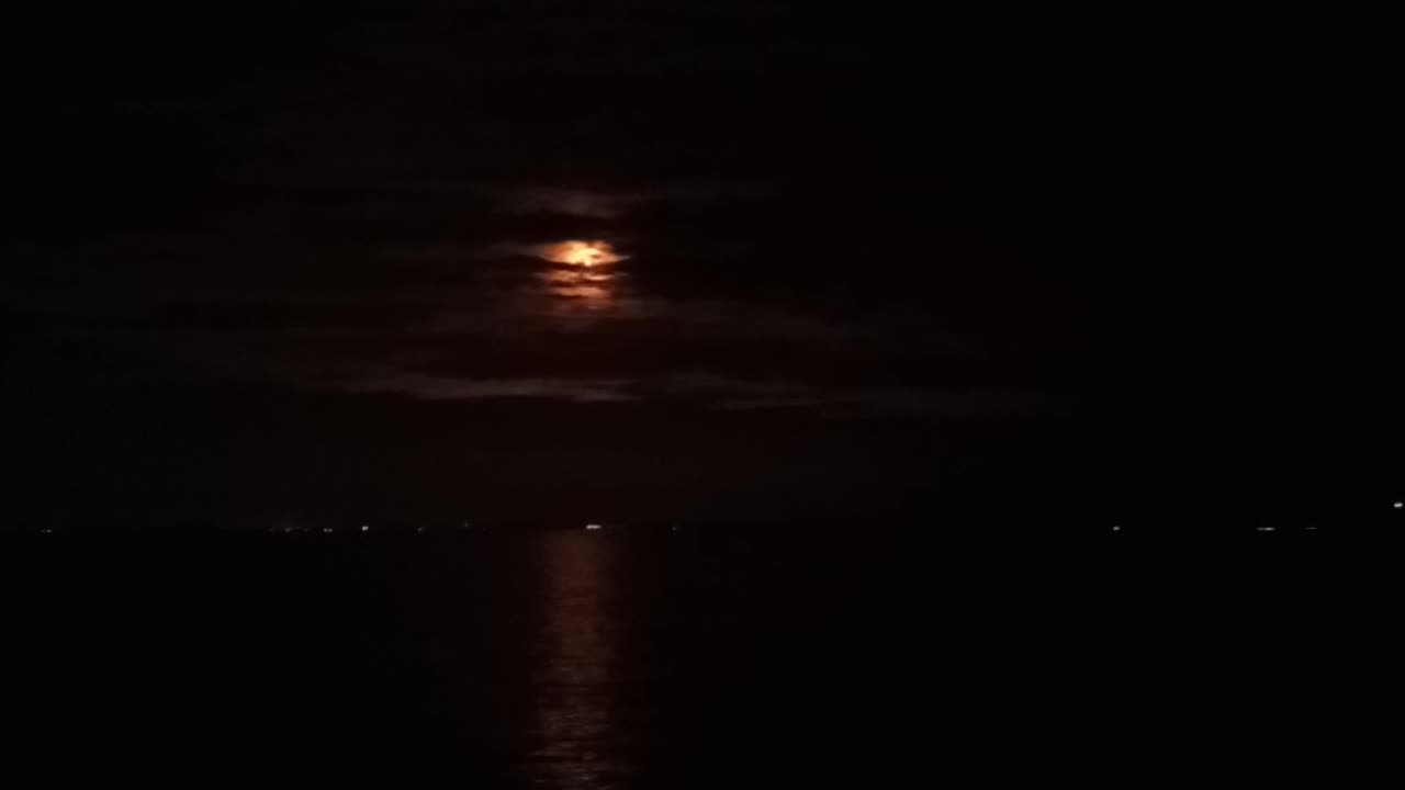 Night time rocket launch in Florida 😃#rocketlaunch #shorts