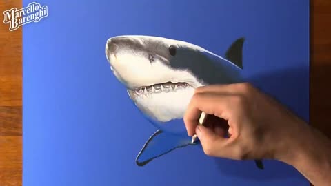 Add Details To The Shark's Mouth.