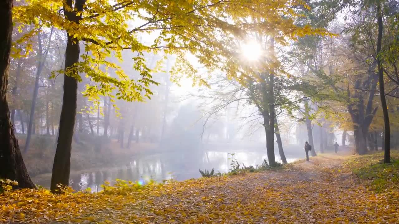 Enchanting Autumn Forests with Beautiful Piano Music