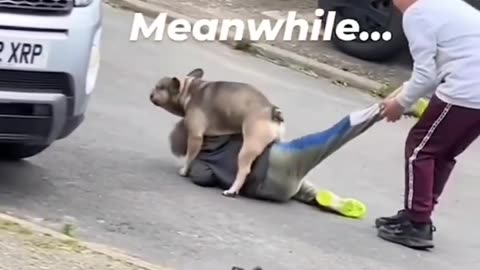New viral memes #funny, #funnymemes, #viral, #trending, #youtubeshorts