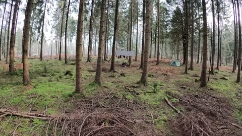 Woodland Wildcamping set up 20th Jan 2023