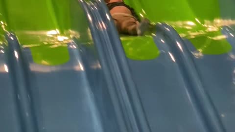 Kiddo 'Enjoying' the Slide