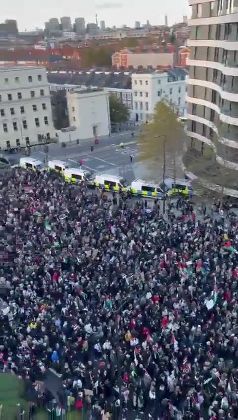 Over 1 Million People Gathered in London on Saturday to Protest Israel’s Genocide